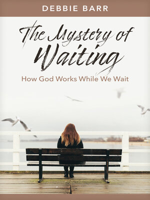 cover image of The Mystery of Waiting